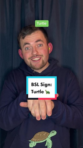 Today is a new Sign in British Sign Language Today’s sign is #Turtle ! Join me everyday for new signs in British Sign Language! #deaf #bsl #signlanguage #turtles #turtletok #pets #animals #🐢