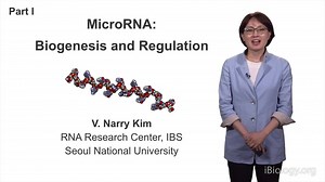 microRNA生物发生和调控