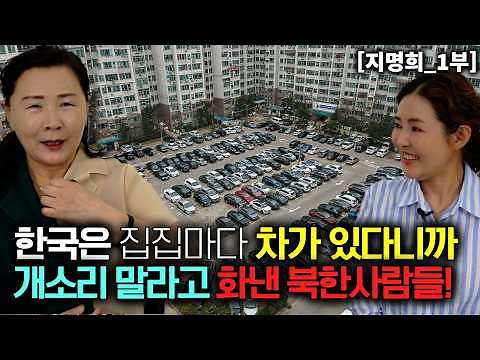 North Koreans got angry and called it BS when I said every house in South Korea has a car! [Ji My...