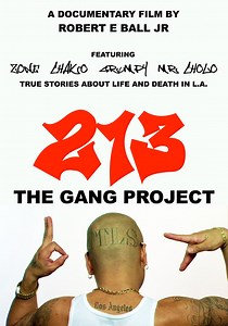 213 The Gang Project streaming: where to watch online?