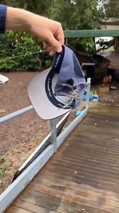 12K views · 347 reactions | SNAKE AND SPIDER IN BEDROOM!  #SCARY #HORROR You won’t believe what I found in my bedroom—a snake AND a spider! Watch the scary rescue and all the chaos unfold! ️ #FearFactor #WildlifeEncounter #Snake #Spider #Fear #Scary #Horror #DangerousAnimals #WildlifeRescue #BedroomShock #AnimalEncounter #TrendingNow | Wildlife With Stuart Mckenzie | Facebook