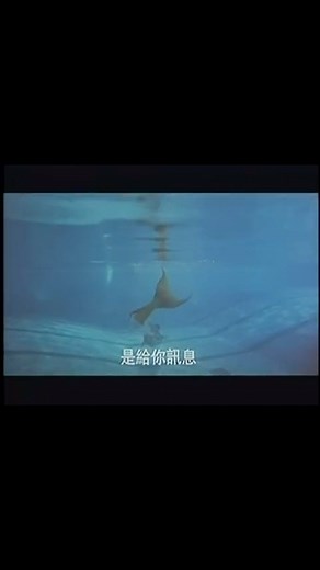 2.2K views · 55 reactions | Mermaid Got Married or 人魚傳說 (1994) #人魚傳說 #mermaidgotmarried #historyofmermaids #moviemermaid #mermaidmovie #90s #90smovies #ekincheng #ekincheng鄭伊健 #christychung #wongsiumay #chinesemermaids #90smermaid | History of Mermaids | Facebook