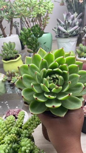 直播高光名场面！进直播间解锁精彩现场~