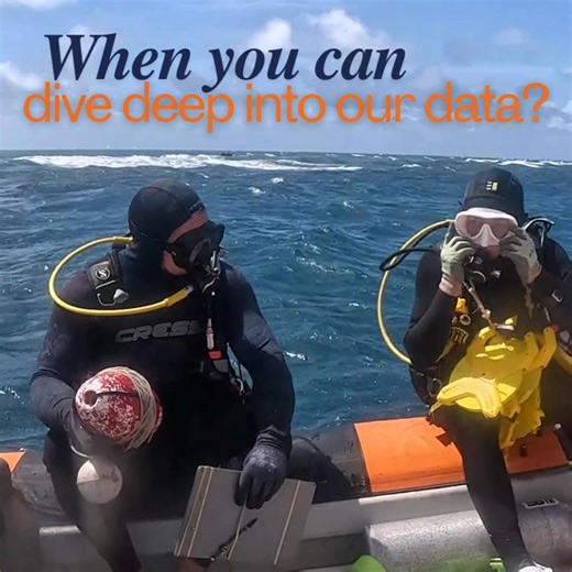 Reef data, just a click away! 🤿 Did you know our routine data on the condition of reefs of the Great Barrier Reef is available for all? The Reef Dashboard holds the most recent data on reefs along the length and breadth of this enormous ecosystem. 📏 We update the Dashboard soon after returning from sea. More detailed data, such as information on coral types and fish, are made available later. 🐠 🪸 Reef Dashboard ➡️ https://bit.ly/48y5Yzn You can also subscribe to our 'Back from the Reef' news