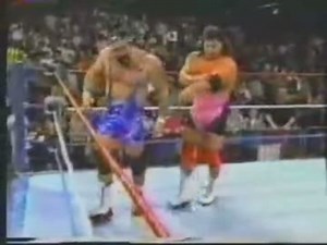 スタイナーブラザーズ　WWFデビュー！