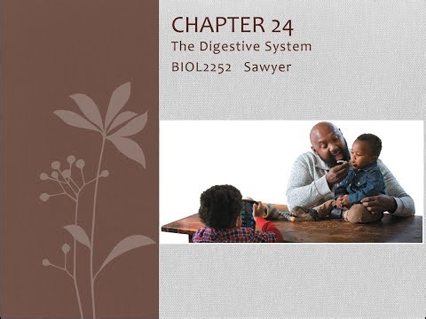 Chapter 24 Lecture Video