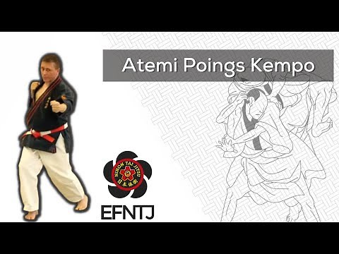 Nihon Taï Jitsu - Kata 1 - Atemi Poing Kempo - EFNTJ