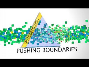 Pushing Boundaries, Enforcement Vision Customs