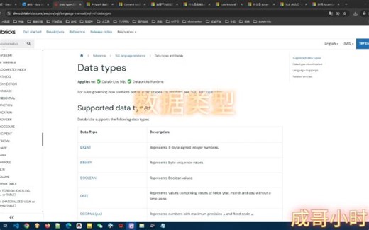 12databricks数据类型（可选）