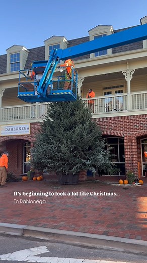 Christmas has arrived in Dahlonega, and the town is sparkling with holiday magic! ✨🎄 | Discover Dahlonega, Georgia