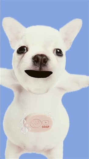 I am table wash my bill. I love my belly.