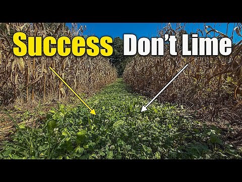 Planting Deer Food Plots in the South