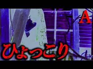 【出現注意】ひょっこりさん【恐怖ランクA】