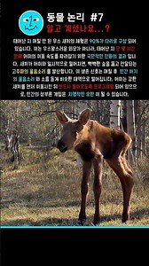 생존을 위한 생물학적 불균형! 🚨 [7]% #자연 #야생동물 #생존