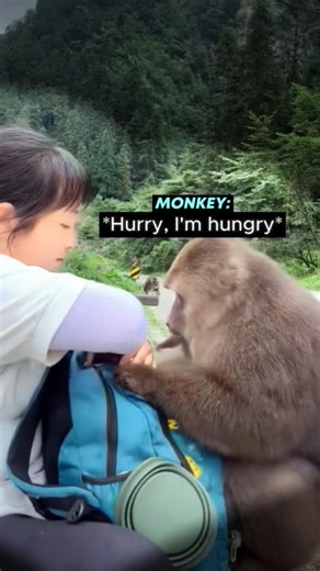 Monkey was hungry and did this 😲
