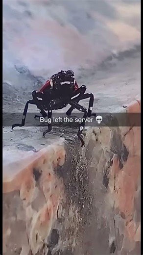 Bug left the server