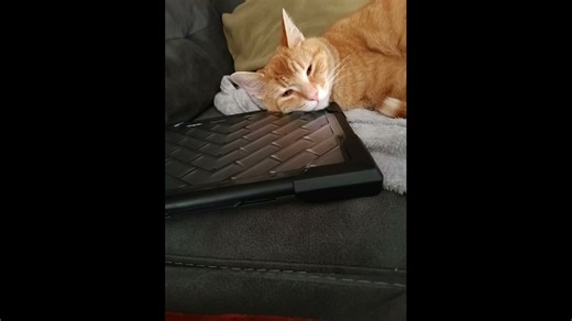 My best Chrome Music Lab song | Fandom