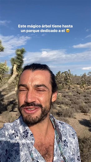 El famoso Joshua Tree, muy conocido en Estados Unidos #eeuu #viajes #curiosidades | Christian Byfield Travel