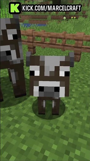 Baby animals in Minecraft ignore all physics