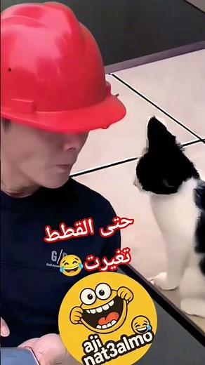 funny vedios 😂🔥#اكسبلور #trending #youtubeshorts #memes