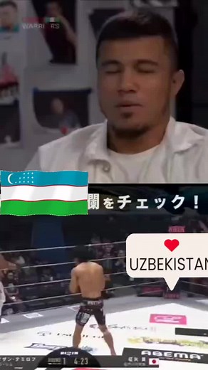 Intense Mixed Martial Arts Combat Highlights