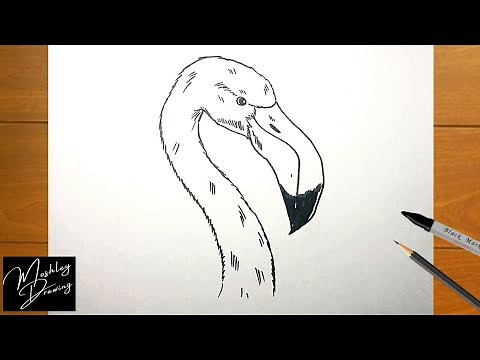 How to Draw a Flamingo Head Easy Step by Step