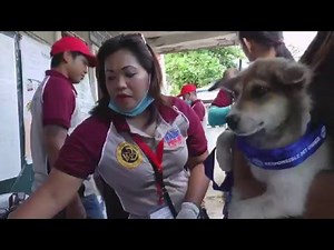 Rabies: The Philippines responds