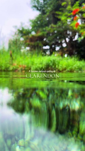 Discovering Clarendon: Jamaica's Crystal Clear Springs
