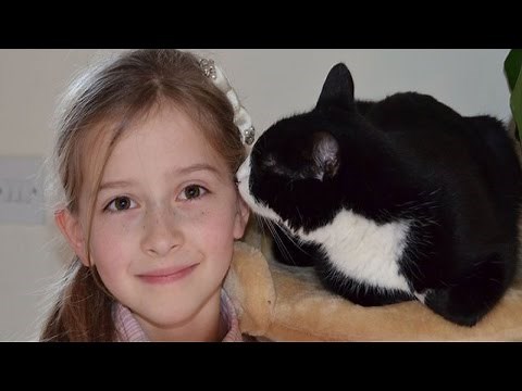 5 Chats Qui Ont Sauvés Des Humains !