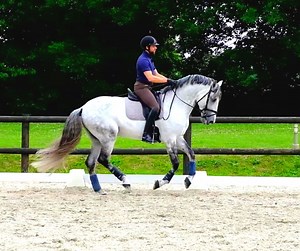 Exercice chevaux : pour les cavaliers qui montent seuls - Terre de Sport Equestre