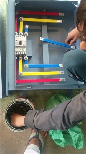 LT strIp Color Coded