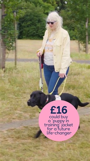 75K views | With your help our amazing guide dogs can change more people’s lives across the UK. Your donation of £16 could buy a ‘puppy in training jacket’, an essential they’ll need on their journey to become future life-changers. Please donate today. | Guide Dogs UK | Facebook