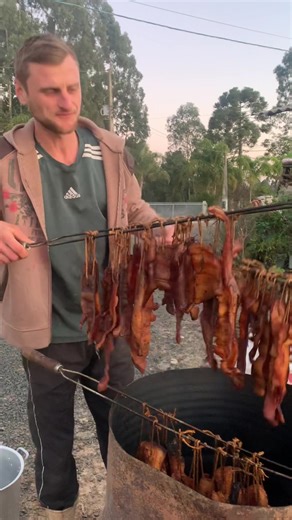 Agronegócio: Vida e Trabalho na Roça