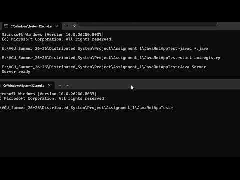 Java RMI application testing