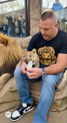 Cincinnati Zoo lion habitat