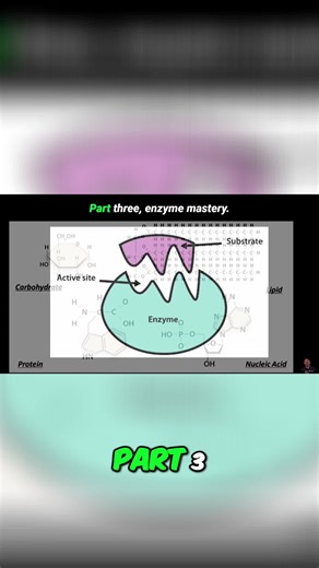 Enzymes demystified! Ace your next test with these quick protein tips. Temp & pH: key factors. #Enzymes #Biology #Science #TestPrep