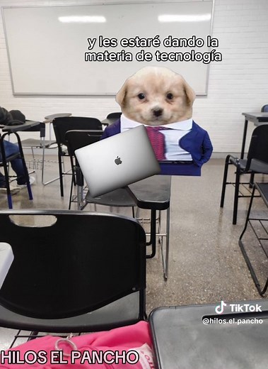 Trabajo en escuela😹 #parati #paratii #tiktokponmeenparati #perros #gatos