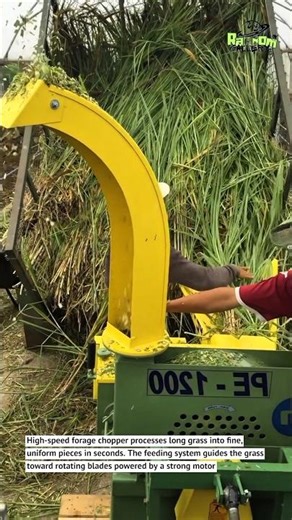Fast Grass Chopper Machine Turns Long Grass into Perfect Animal Feed
