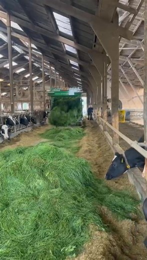 First load of fresh grass for this GT140 in delivered Germany 🇩🇪 #grasstechnology #creatingnewstandards | Grass Technology