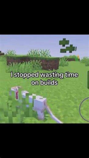 #xyzbca #minecraft #hamilton #cat | i stopped wasting time on builds