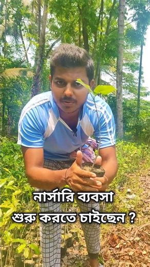 Low Cost High Profit Nursery Business 🌱