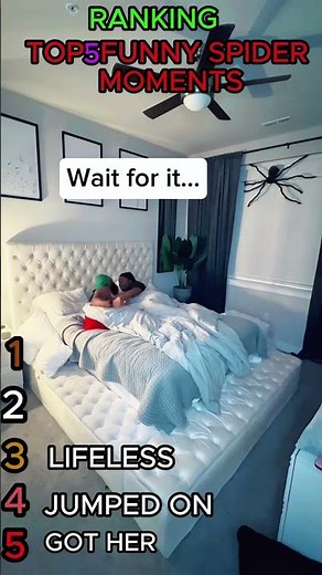 Ranking Top 5 Funniest Giant Spider Pranks Caught on Camera