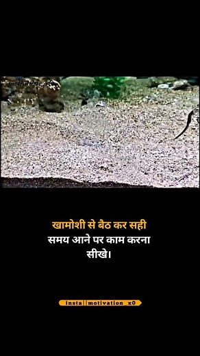 Success Life || motivational || quotes | ♡ ㅤ ❍ㅤ ⎙ㅤ ⌲ ˡᶦᵏᵉ ᶜᵒᵐᵐᵉⁿᵗ ˢᵃᵛᵉ ˢʰᵃʳᵉ . . . Follow me 👉 @motivation_x0 Follow me 👉 @motivation_x0 Follow me 👉 @motivation_x0 . . Share with... | Instagram