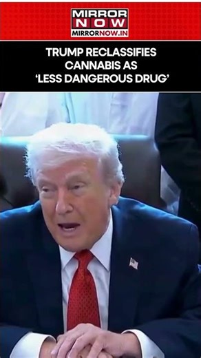 Trump Reclassifies Cannabis As Less Dangerous Drug, Signs Executive Order #shorts
