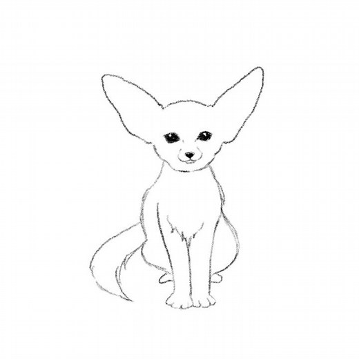 [PENUP] Live Drawing #30 : How To Draw 'Fennec Fox'
