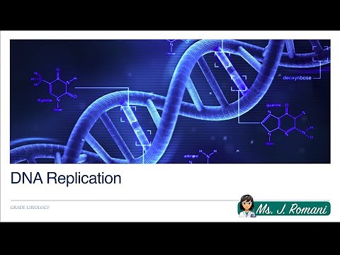 Lesson Video - DNA Replication