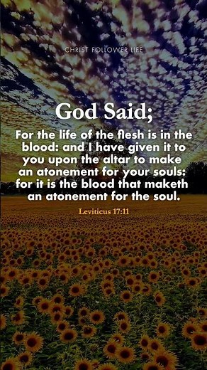 The Power of the Blood 🙏 A Prayer of Atonement and Grace #bibleverses #jesuschrist #godsays #godsaid