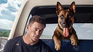 Une première bande annonce pour le film Dog réalisé et avec Channing Tatum qui sortira cette année au cinéma 🐶 Dog suit le ranger Briggs qui, pour revenir sur le terrain, doit faire ses preuves en emmenant Lulu, un berger belge malinois, aux funérailles de son maître, le sergent Rodriguez. Légèrement lunatique, cette chienne en fera voir de toutes les couleurs au ranger durant leur road trip le long de la côte pacifique. Tout au long du chemin, ils apprendront qu’il faut parfois lâcher prise af