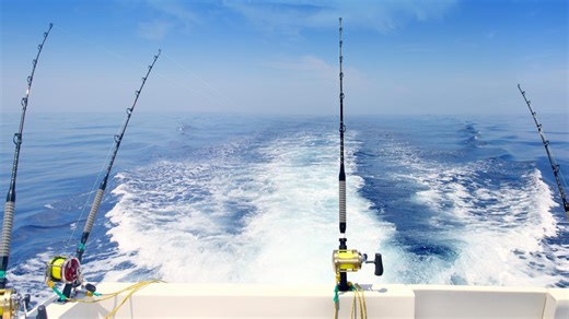 $4.4 million catch! NC boat lands record blue marlin during White Marlin Open