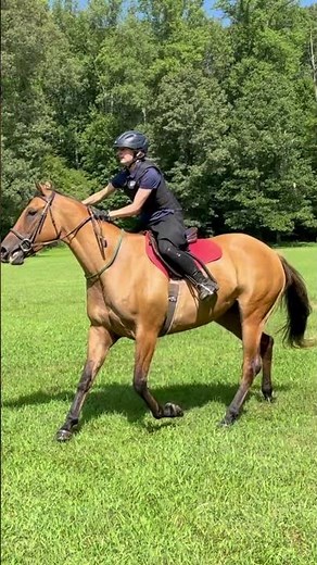 Cross country fail #equestrian #jumpinghorse #crosscountry #fails